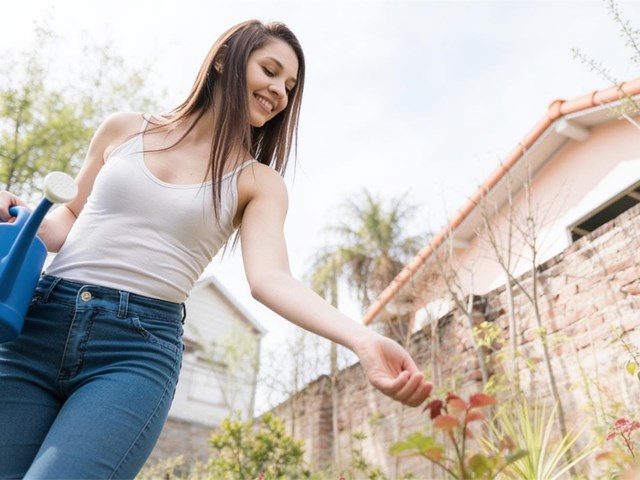 Cuidados para el jardín cuando suben las temperaturas