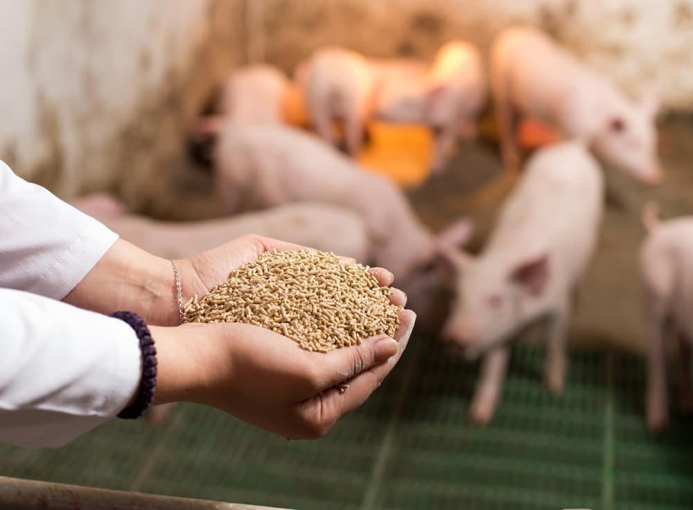 Alimentación de calidad para mascotas y animales de granja