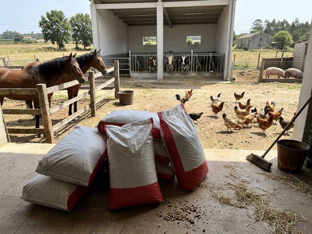 La mejor alimentación con piensos para animales de granja en San Sadurniño