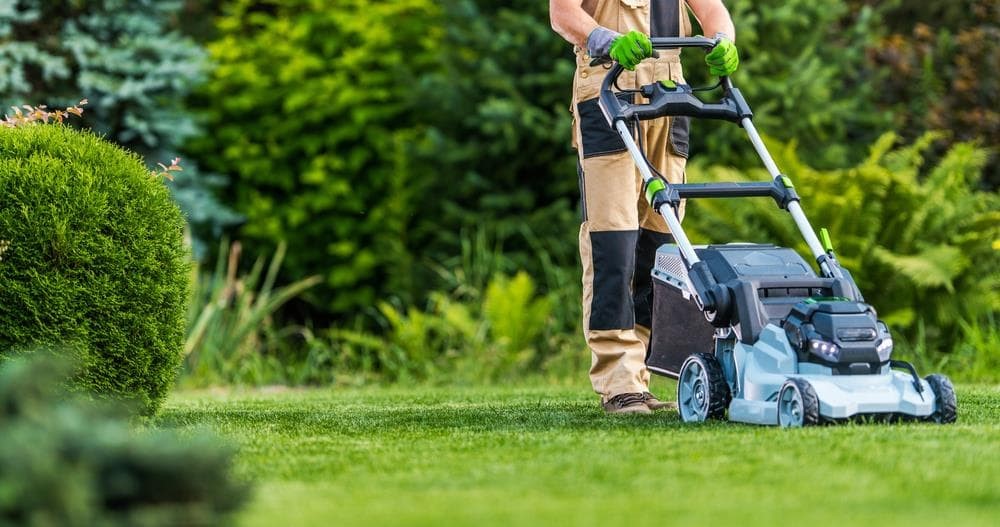 Los mejores cuidados para tu jardín tras el verano