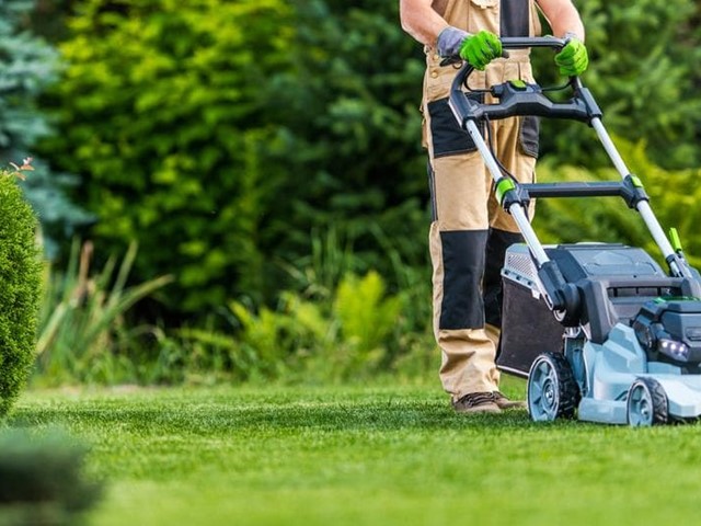 Los mejores cuidados para tu jardín tras el verano