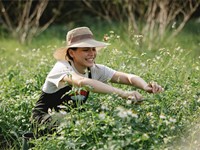 Prepara tu jardín para la llegada de la primavera 