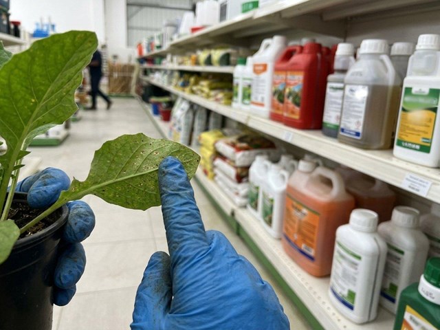  Protege tu cosecha con fitosanitarios para el control de plagas y enfermedades en San Sadurniño