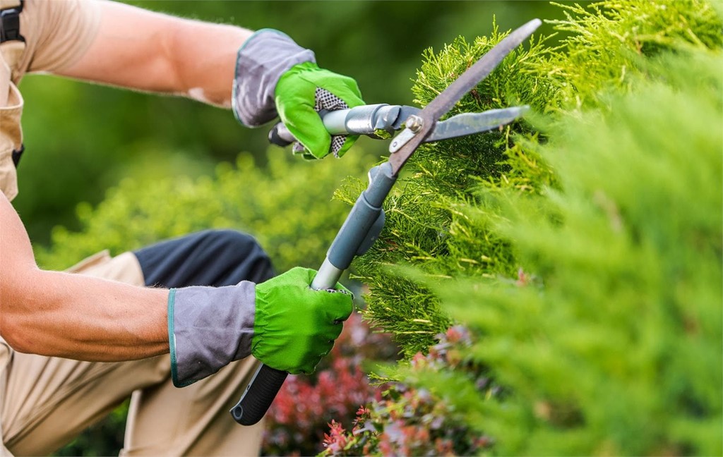 ¿Qué herramientas se utilizan en el jardín?