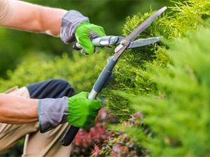 ¿Qué herramientas se utilizan en el jardín?