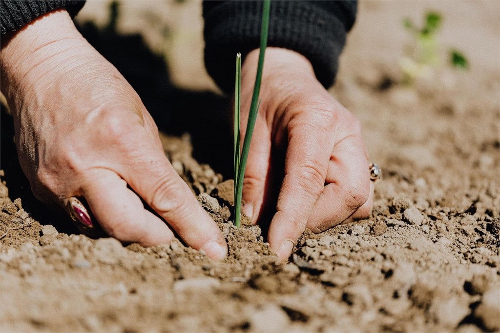 ¿Qué se planta en abril?